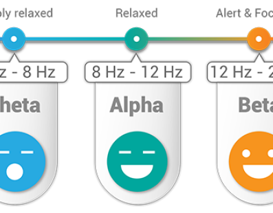 brain wave frequencies